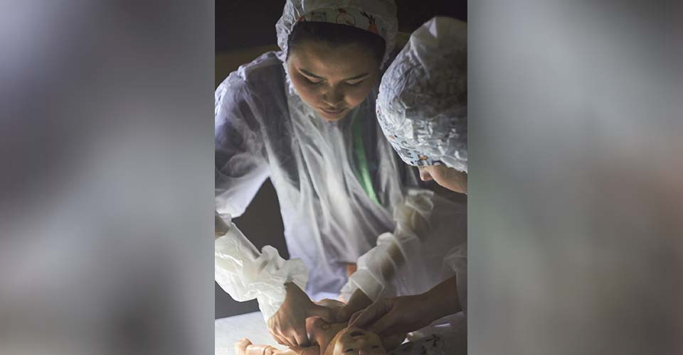 Победители «MEDICAL QUEST»!