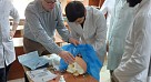 Мастер-класс для ординаторов и молодых врачей-нейрохирургов