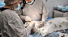 Саратовские врачи за одну операцию заново собрали лицо юноше после ДТП