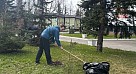 Субботник в Парке Победы