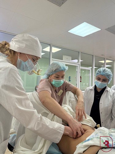 Заседание студенческого кружка кафедры акушерства, гинекологии и репродуктологии