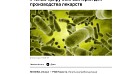 РИА новости рассказали о новом исследовании СГМУ в борьбе с инфекционными заболеваниями  