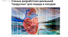 «РИА новости» поделились разработкой «градусника» для сердца СГМУ