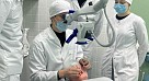 «Будущее стоматологии»: эффективный подход в СГМУ