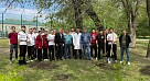 «Сад Памяти» в честь медиков Великой Отечественной войны