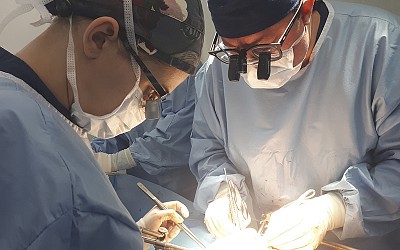 Сотрудничество в области трансплантологии
