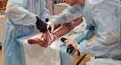 «Лечение тяжелых повреждений костей таза, коленного и голеностопного сустава и стопы»