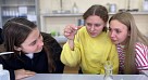 Профриентация в Озинках